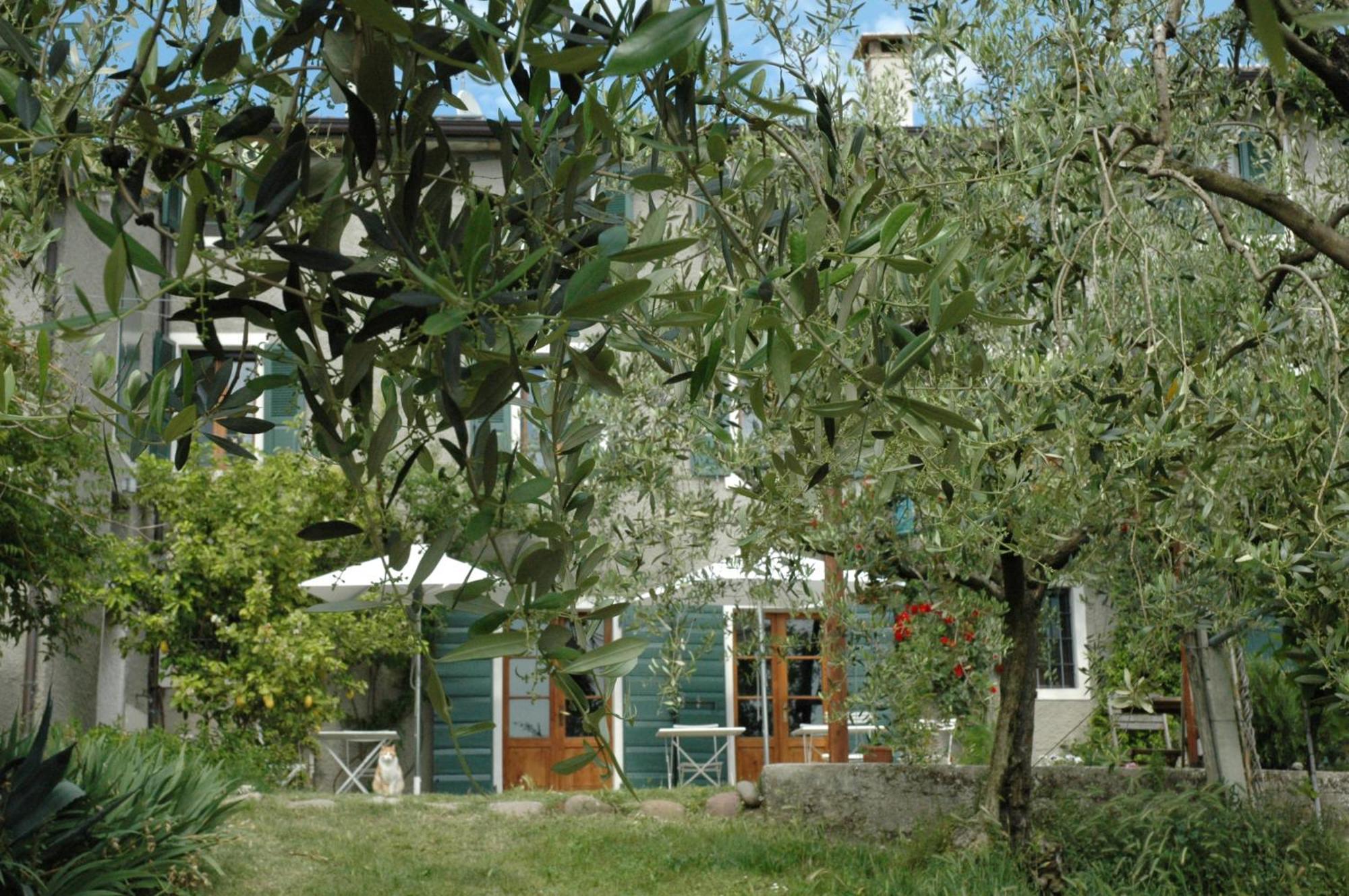 Agriturismo Tenuta La Pergola Bardolino Eksteriør billede