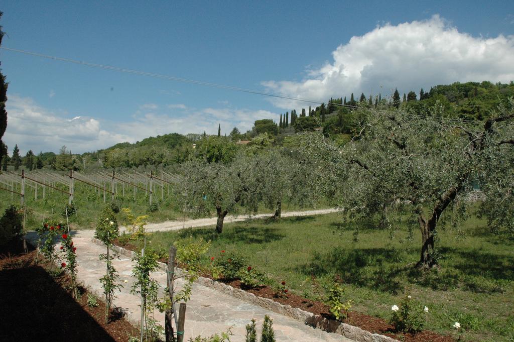 Agriturismo Tenuta La Pergola Bardolino Eksteriør billede