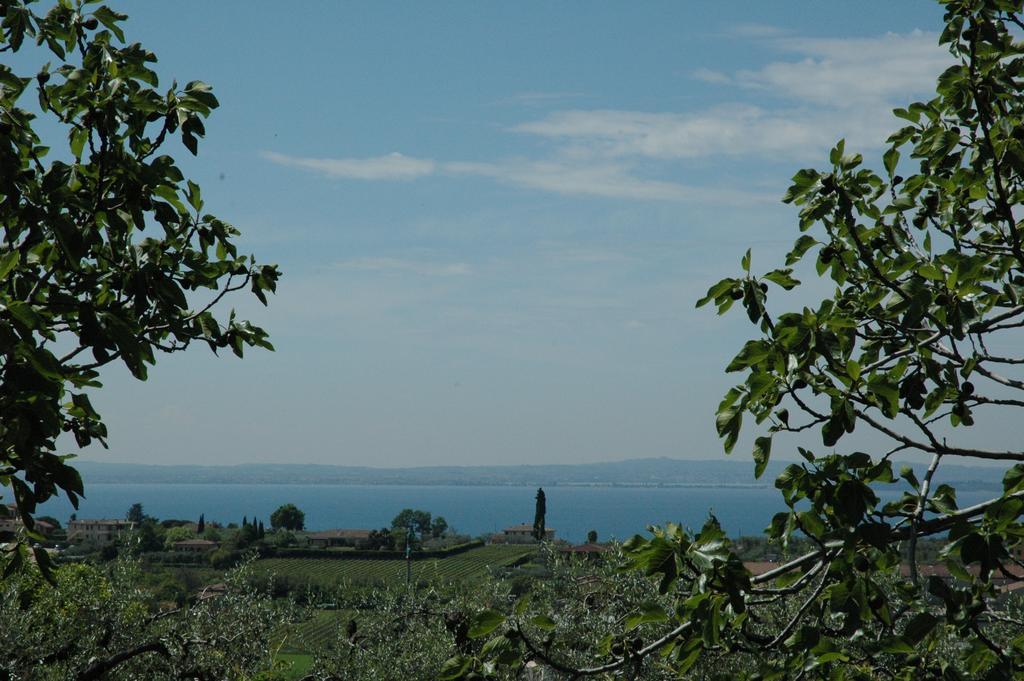 Agriturismo Tenuta La Pergola Bardolino Eksteriør billede