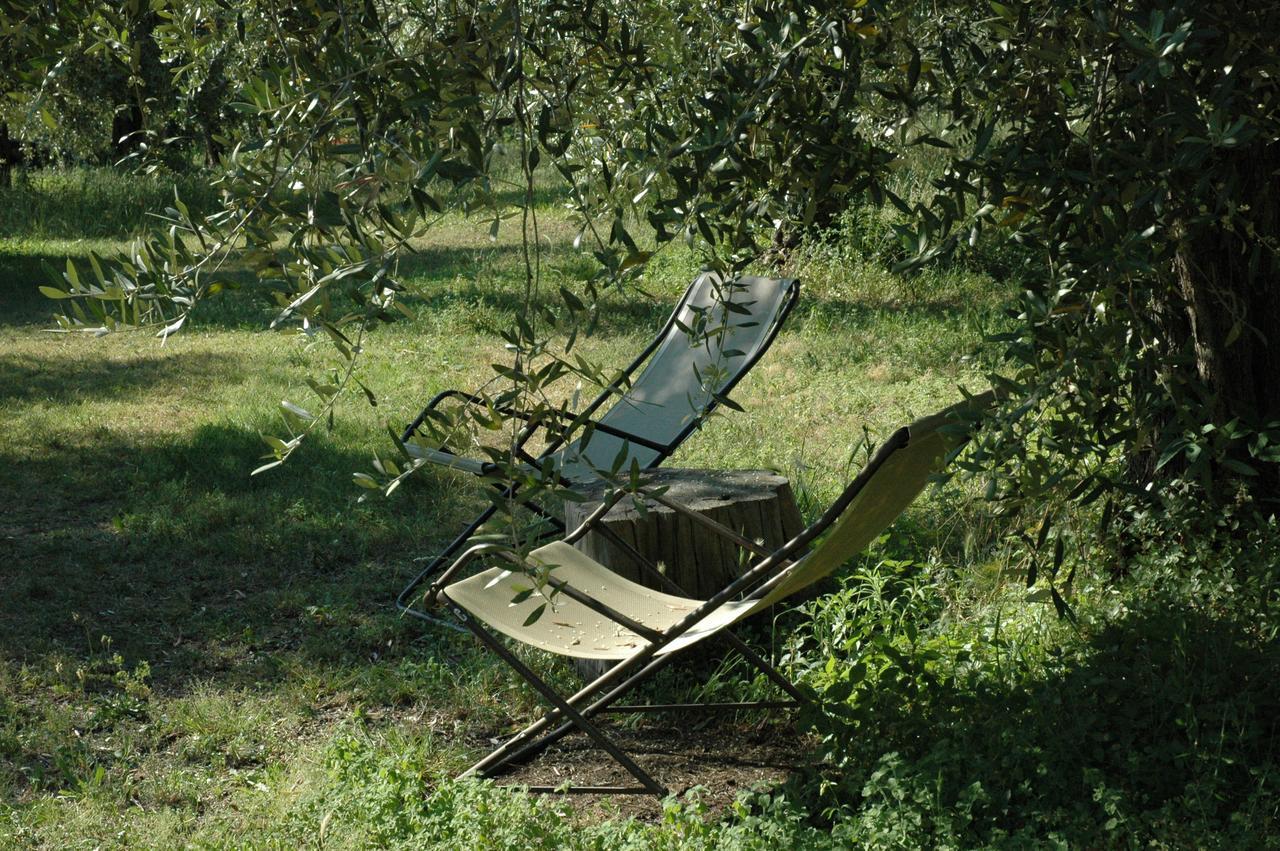 Agriturismo Tenuta La Pergola Bardolino Eksteriør billede